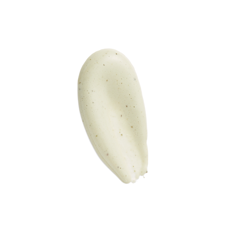 AgelessBeauty3000.com Yunjac | Whole Plant Effect Foam Cleanser