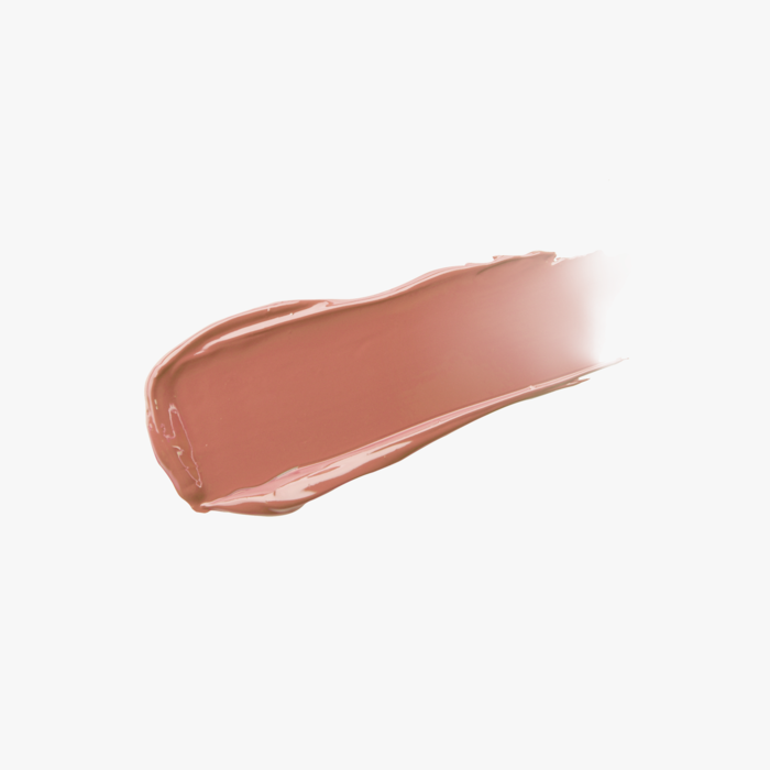 AgelessBeauty3000.com DEAR DAHLIA | Sensuous Matte Lip Suit #06 Raw